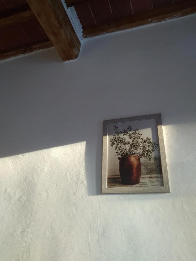 Lotte'S Guesthouse Livorno Eksteriør billede